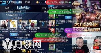 大力最新爆料直播回放,大力最新爆料内容深度解析